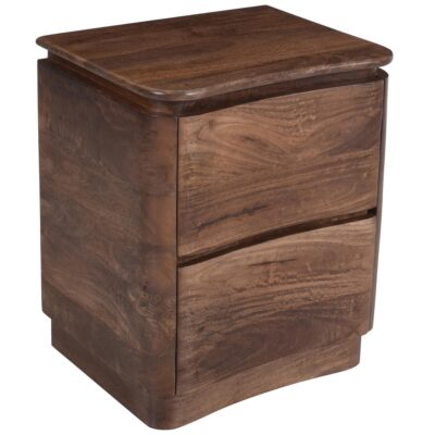 Akhila 2 Drawer Accent Table in Walnut