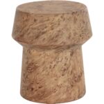 Brie End Table - Burl Look - Image 2