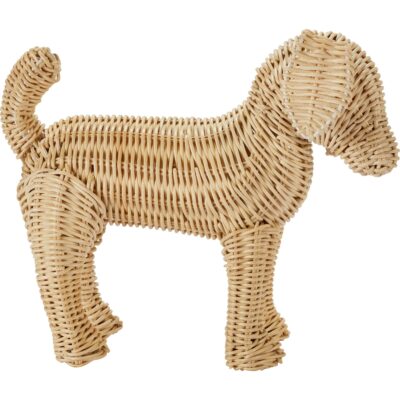 Alternative view of Little Potcake