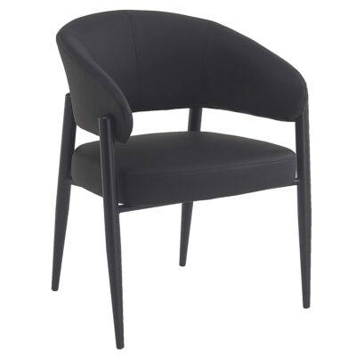 Bronson Dining Chair, set of 2 in Black