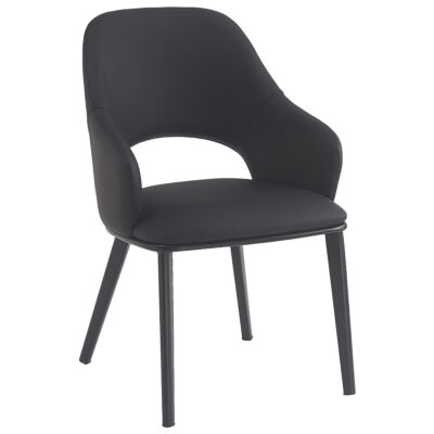 Denzel Dining Chair, set of 4 in Black
