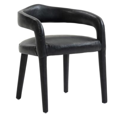 Caden Dining/Lounge Chair, Set of 2 in Charcoal