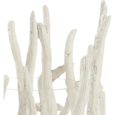 Alternative view of Litchfield Hurricane - White