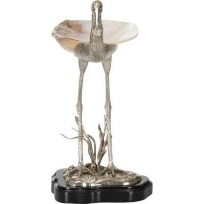 Alternative view of COASTAL BIRD