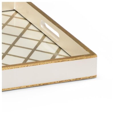 Alternative view of Tray