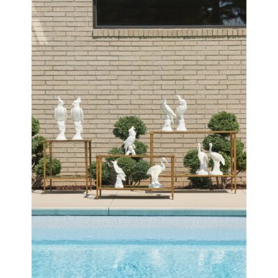 Alternative view of Ibis Pair - White