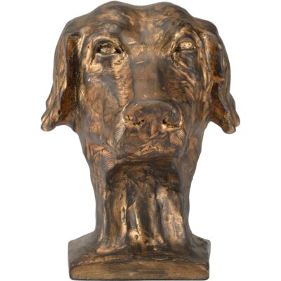 Alternative view of Dog Accent