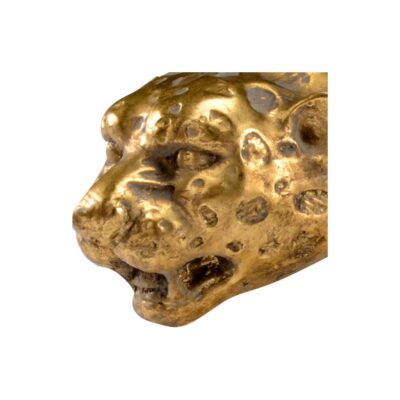 Alternative view of Leopard