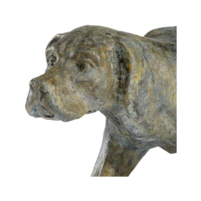 Alternative view of Pointer - Verde