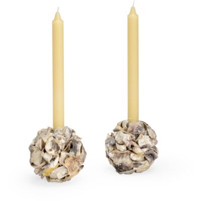 Oyster Shell Candleholder (Pr)