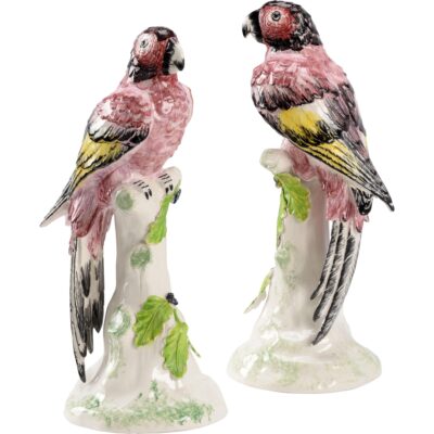 Large Kenya Parrots (Pr)