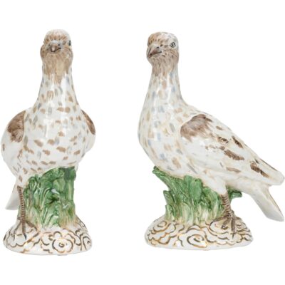 Alternative view of Terns (Pr)