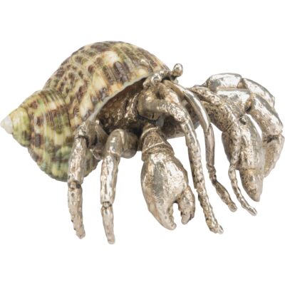 Hermit Crab Paperweight