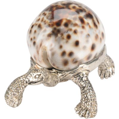 Turtle Paperweight
