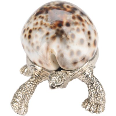 Alternative view of Turtle Paperweight