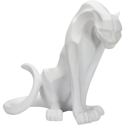 Cat - White