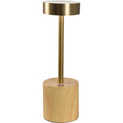 Theodore Rechargeable Lamp