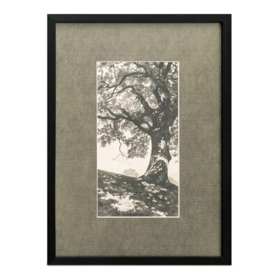 Arise Framed Print
