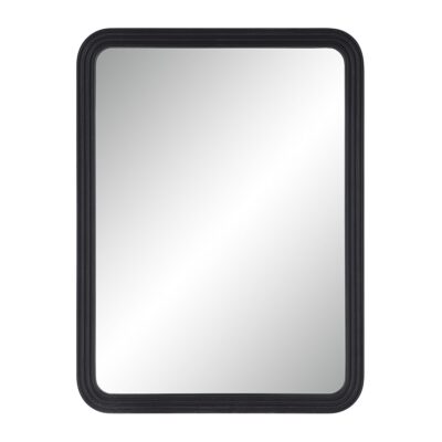 Alternative view of Nolana Mirror