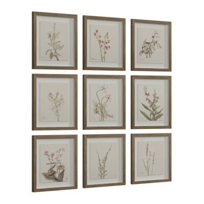 Alternative view of Crema Painting