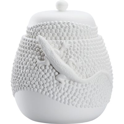 Alternative view of Anolis Canister - White