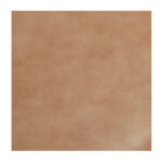 Early Dining Chair Tan Leather-Set Of Two 11 Early Dining Chair Tan Leather-Set Of Two - Image 5